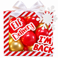 Personalized Elf Arrival Balloon Box – I’m Back!